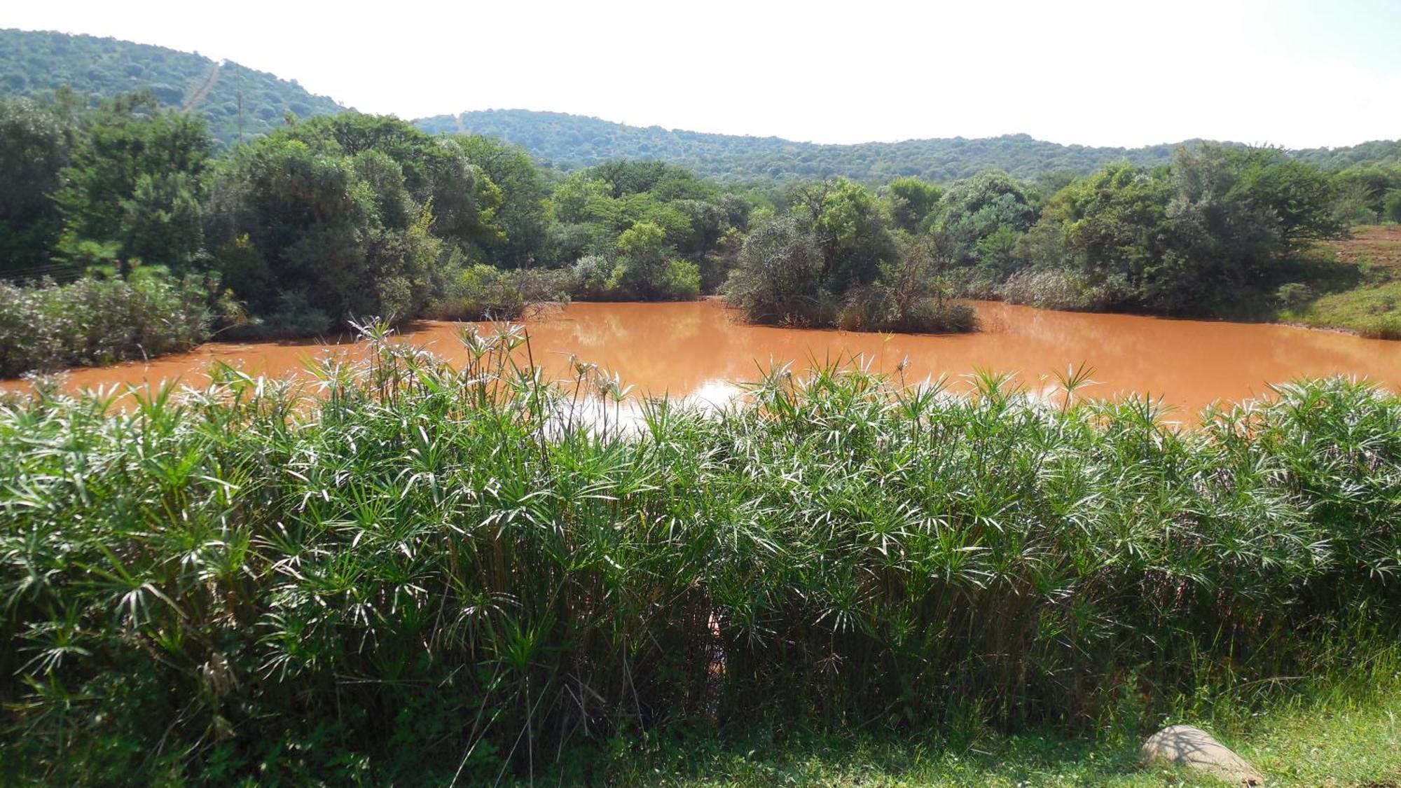 Tidimalo Lodge Rustenburg Luaran gambar